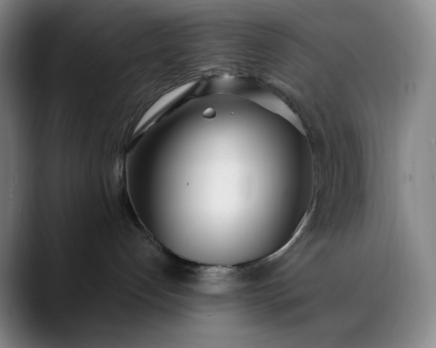 X0000089900192200707121856