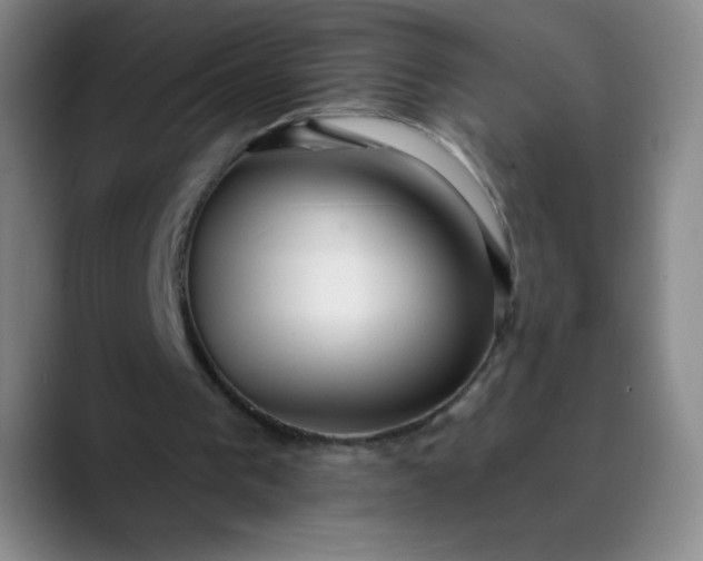 X0000089900193200707121856