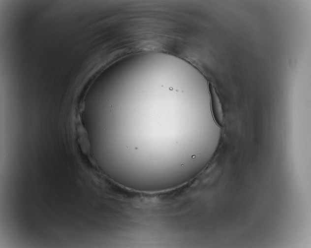 X0000089900194200707121856