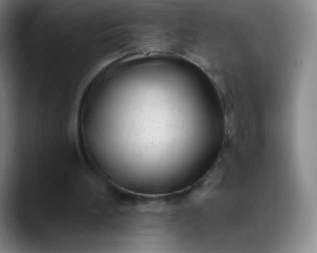 X0000089900196200707121855