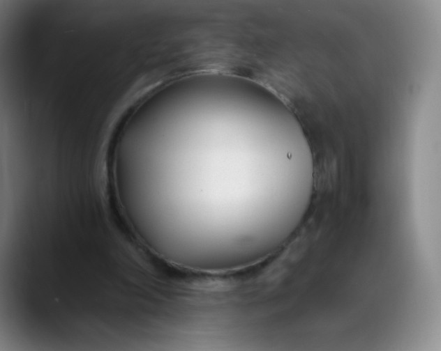 X0000089900198200707121855