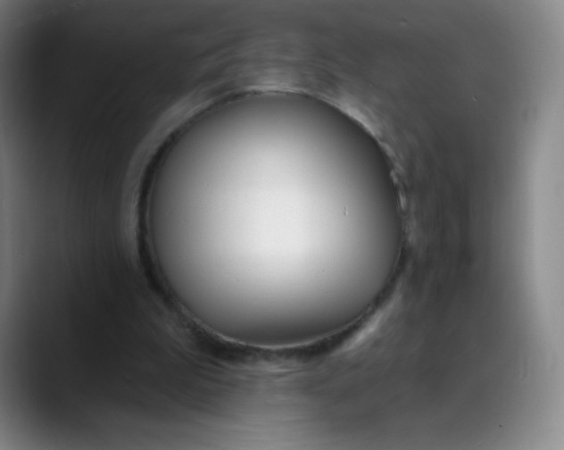 X0000089900199200707121855