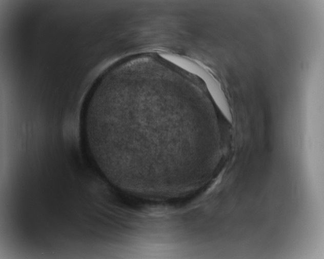 X0000089900200200707121855
