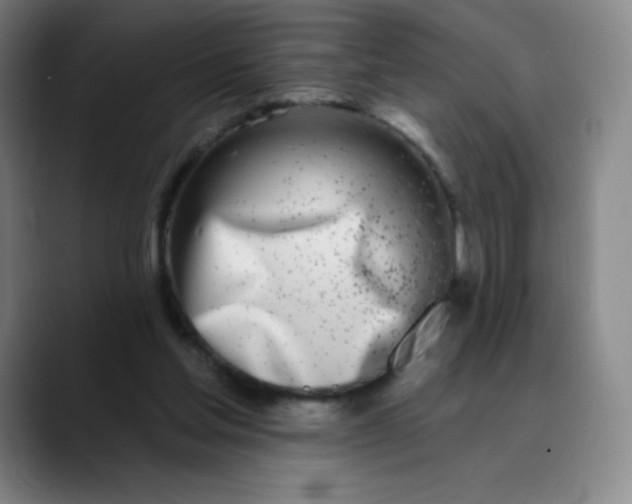 X0000089900205200707121855