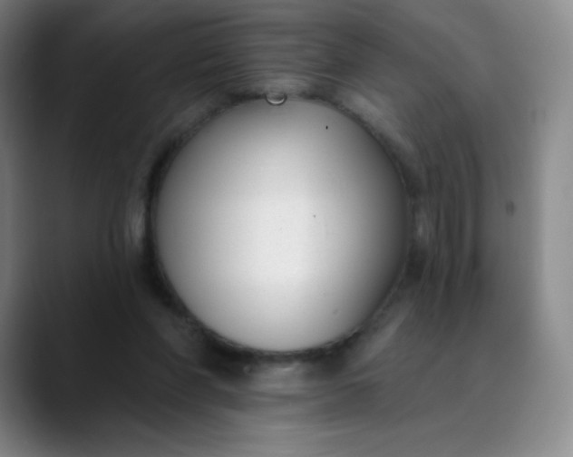 X0000089900206200707121855