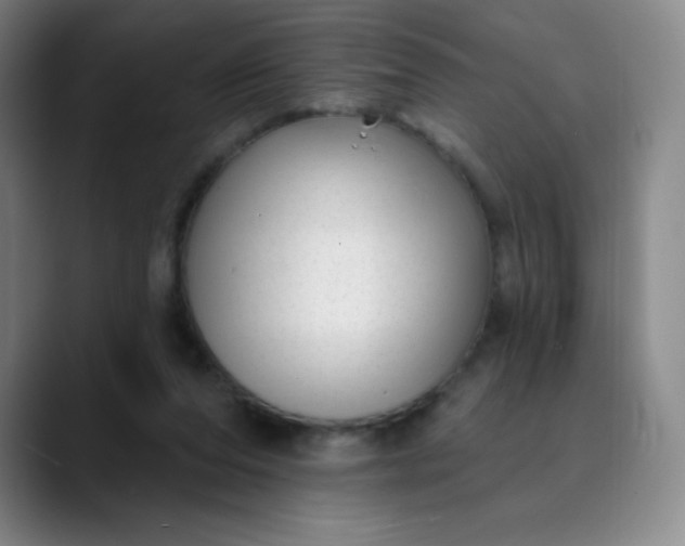 X0000089900208200707121855