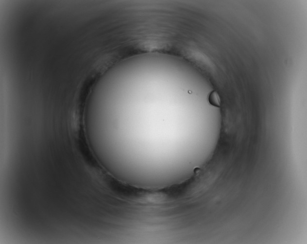 X0000089900210200707121855