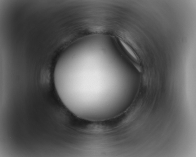 X0000089900211200707121855