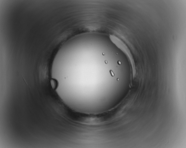 X0000089900212200707121855