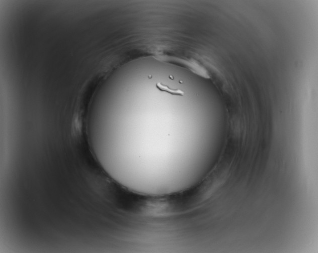 X0000089900214200707121855