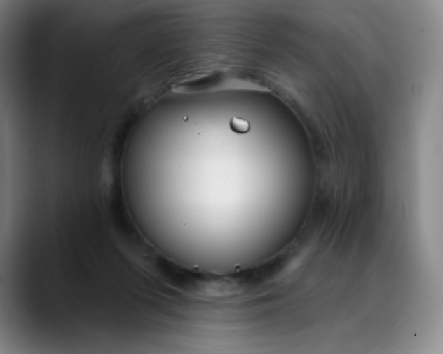 X0000089900215200707121855