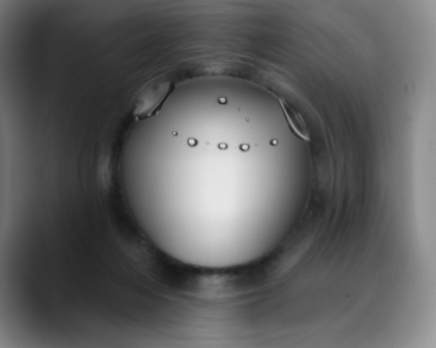 X0000089900216200707121855