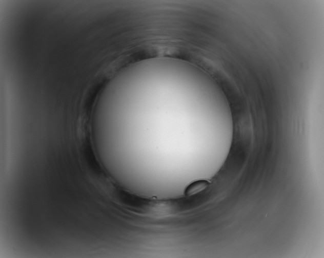 X0000089900218200707121855