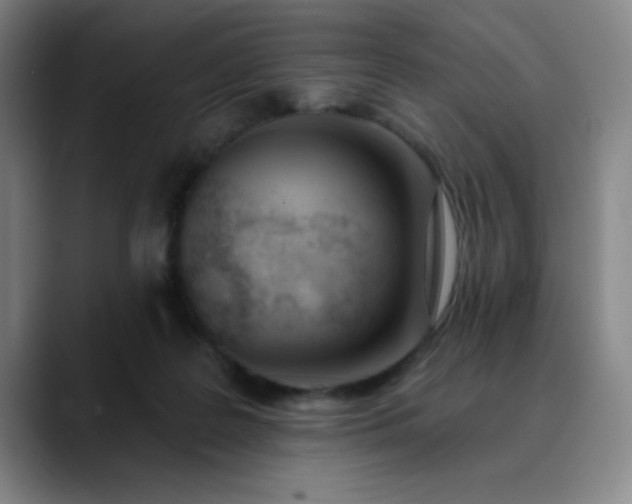 X0000089900219200707121855
