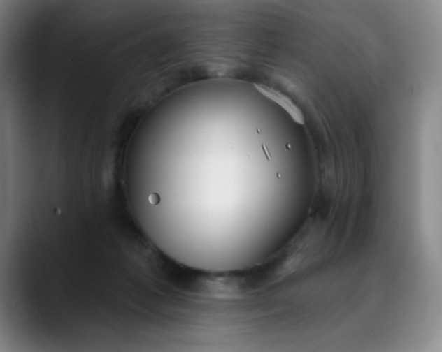 X0000089900221200707121855