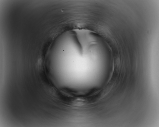 X0000089900222200707121855