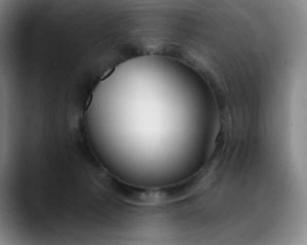 X0000089900225200707121855