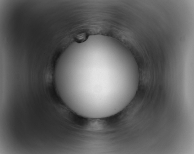 X0000089900226200707121855