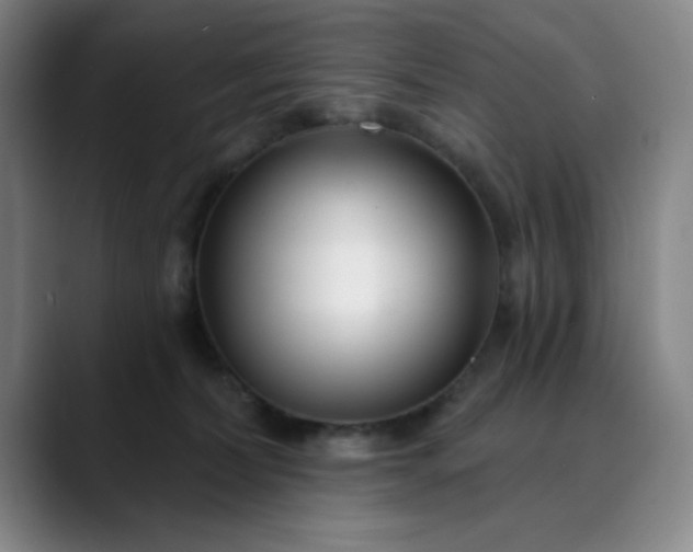 X0000089900228200707121855