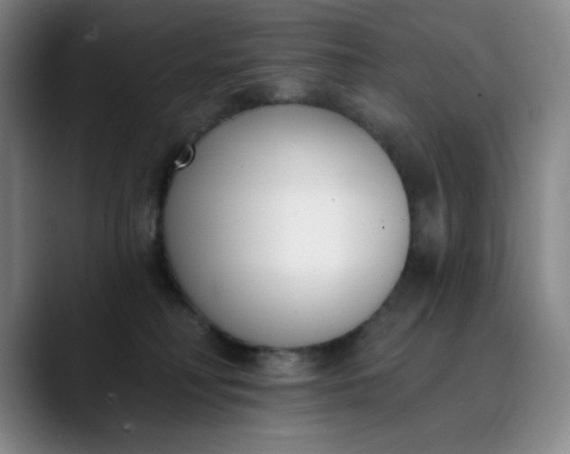 X0000089900230200707121855