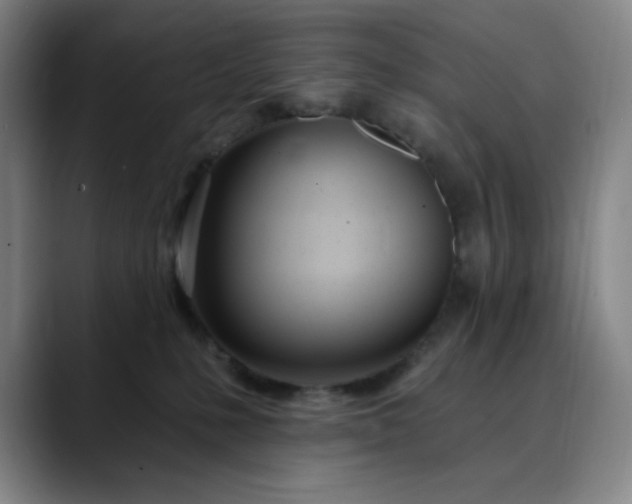 X0000089900231200707121855