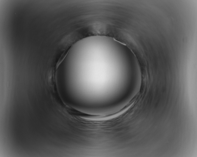 X0000089900233200707121855
