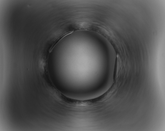X0000089900235200707121855