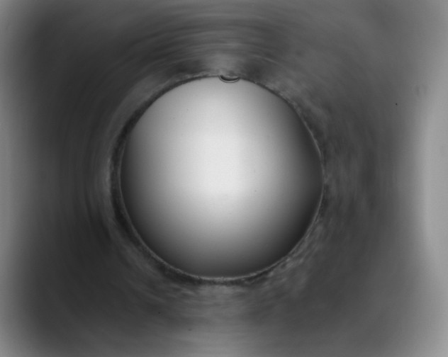 X0000089900242200707121854
