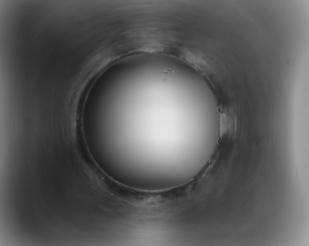 X0000089900243200707121854