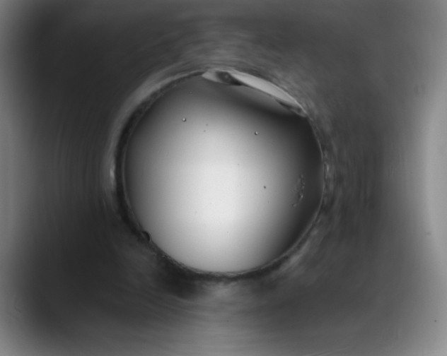 X0000089900246200707121854