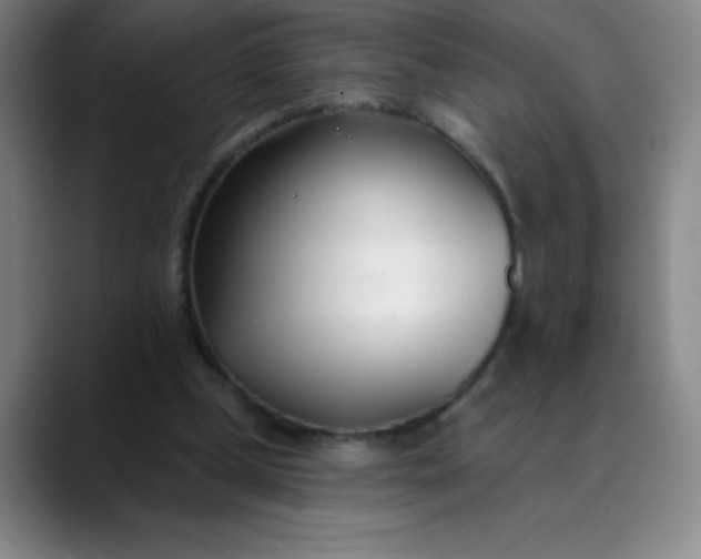 X0000089900249200707121855