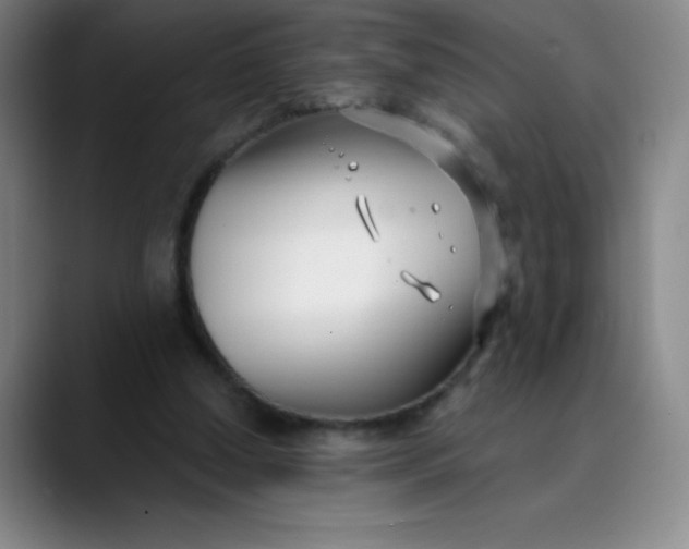 X0000089900250200707121855