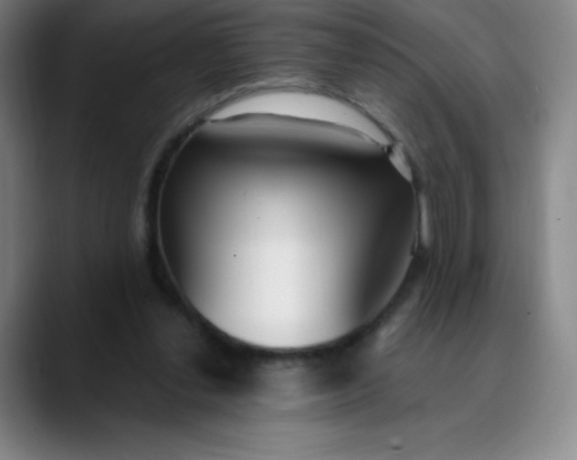 X0000089900252200707121855