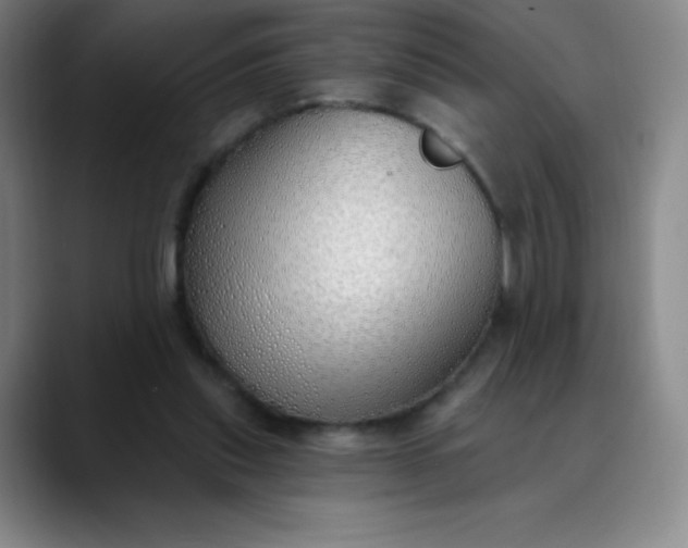 X0000089900253200707121855