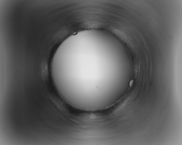 X0000089900254200707121855