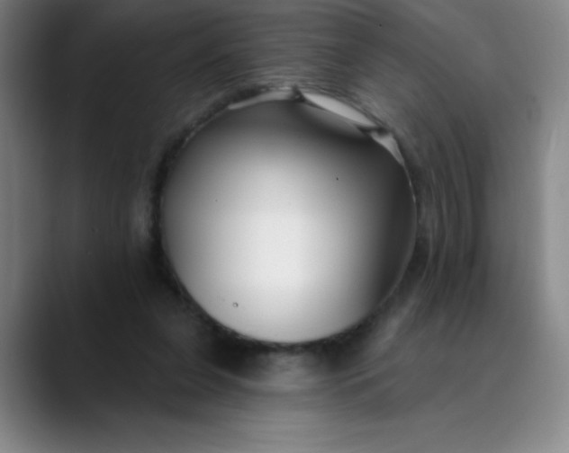 X0000089900255200707121855