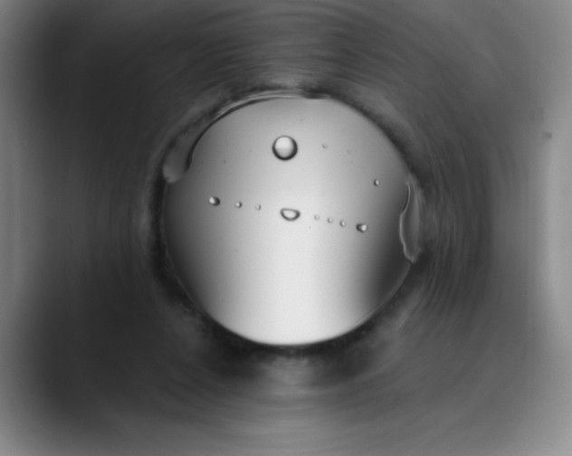 X0000089900256200707121855