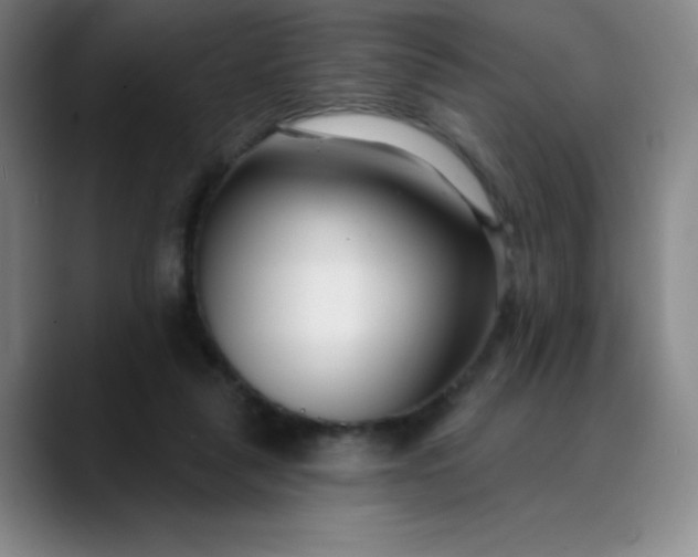 X0000089900259200707121855
