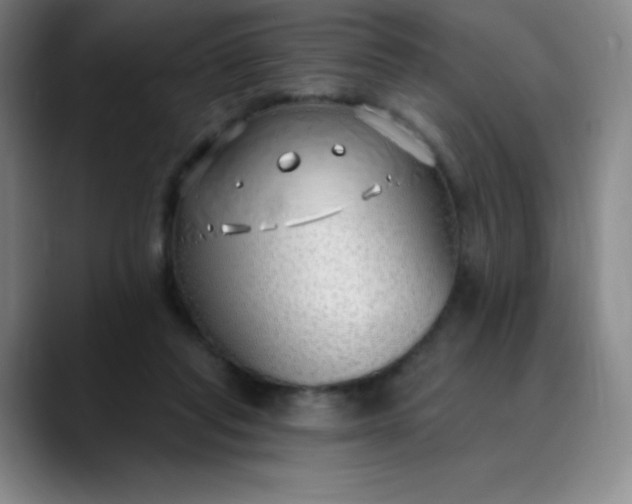 X0000089900261200707121855