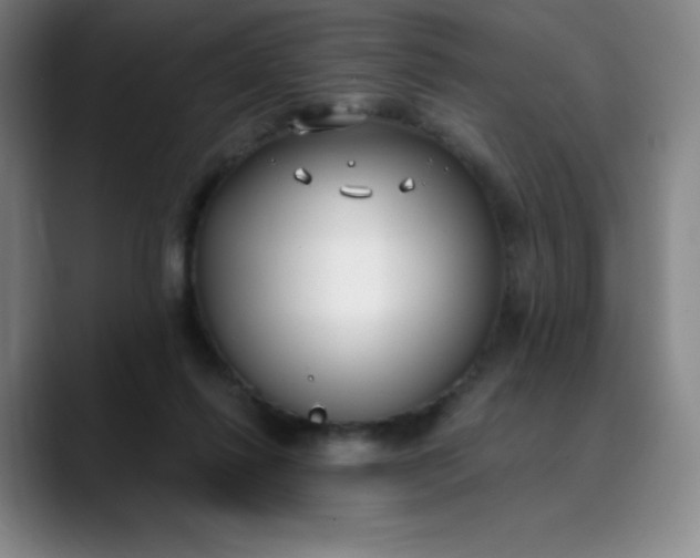 X0000089900262200707121855