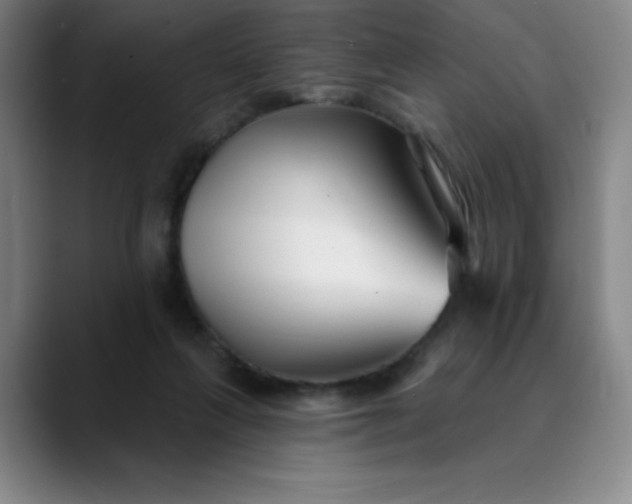 X0000089900263200707121855