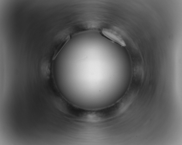 X0000089900264200707121855
