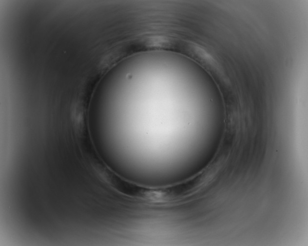 X0000089900265200707121855