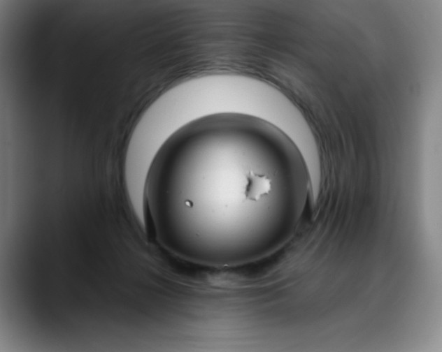 X0000089900268200707121855