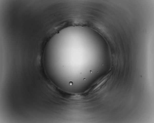 X0000089900269200707121855