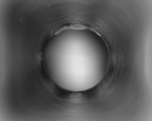 X0000089900271200707121855