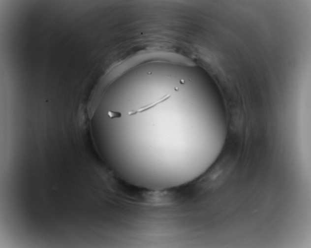 X0000089900273200707121855