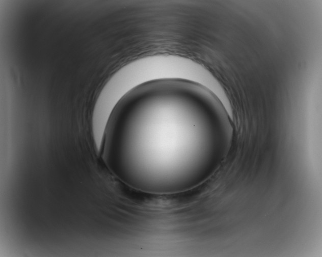 X0000089900276200707121855