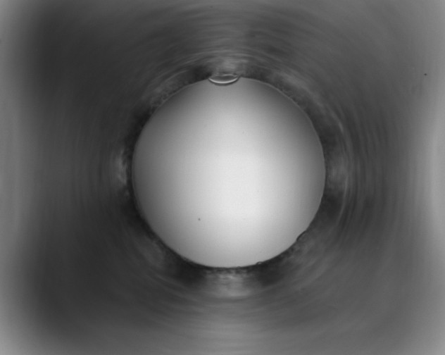 X0000089900282200707121855