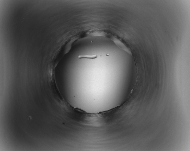 X0000089900288200707121855